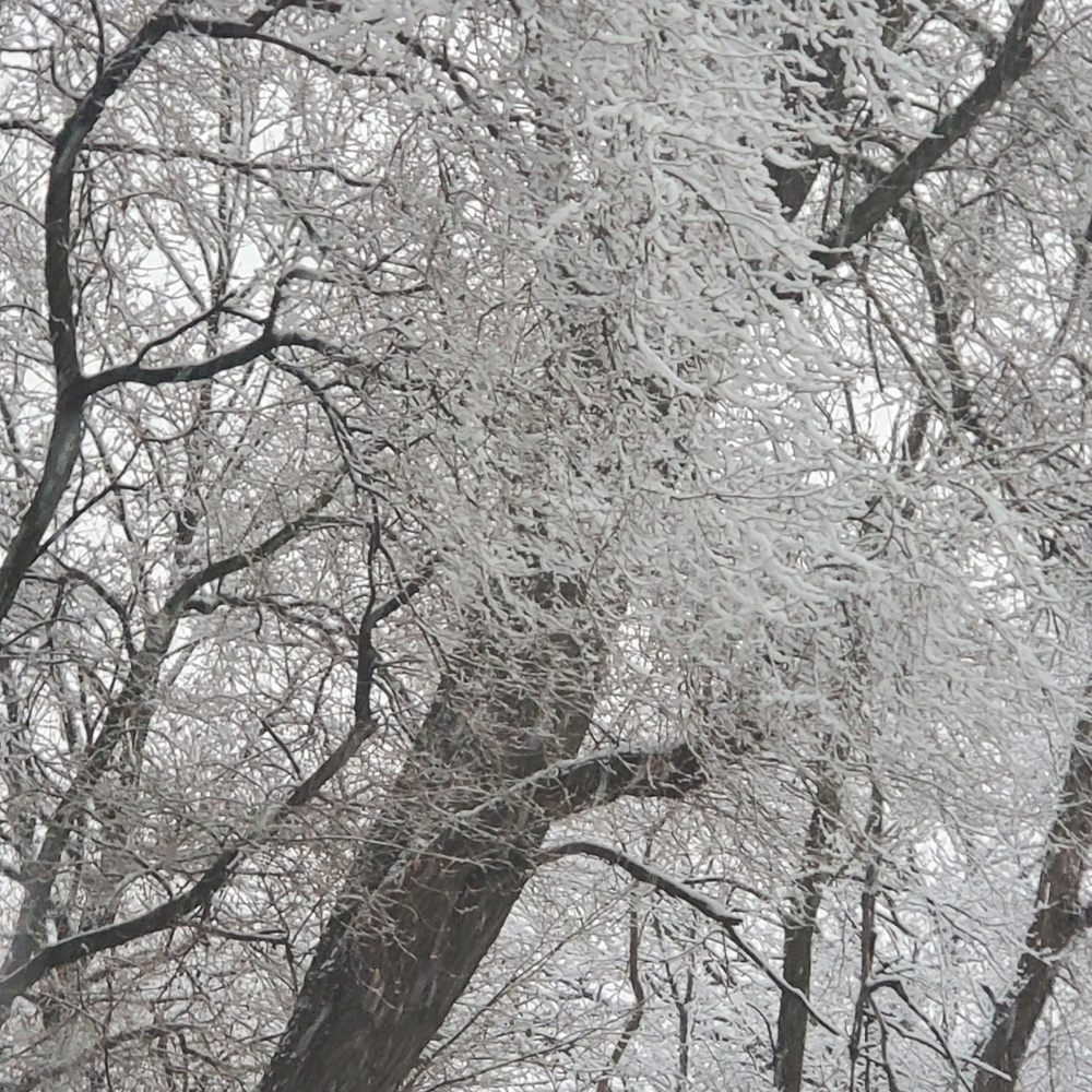 Meet your Posher, Joanna